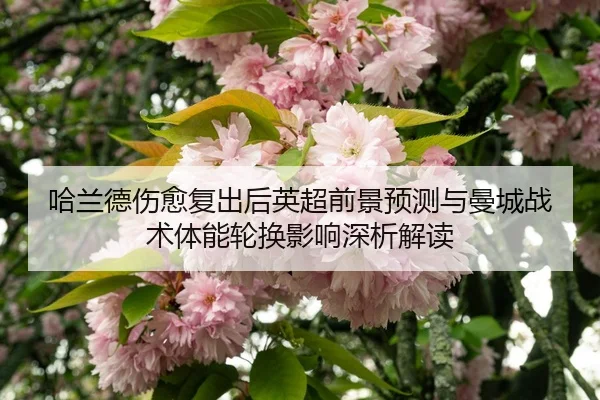 哈兰德伤愈复出后英超前景预测与曼城战术体能轮换影响深析解读